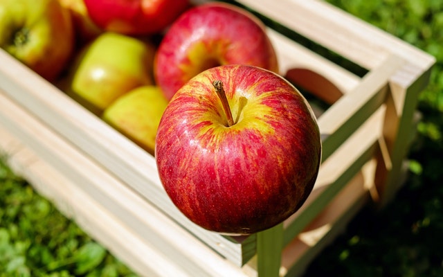 The apples the most complete healthy fruit