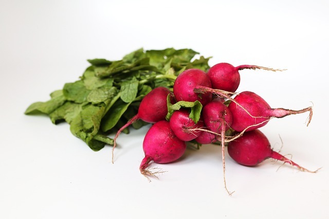 Pink radish Health Benefits, Recommendations, Nutritional Values