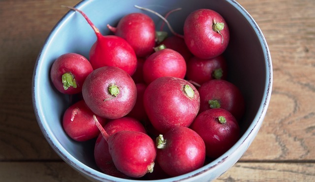 THE HEALTH AND NUTRITIONAL BENEFITS OF PINK RADISHES